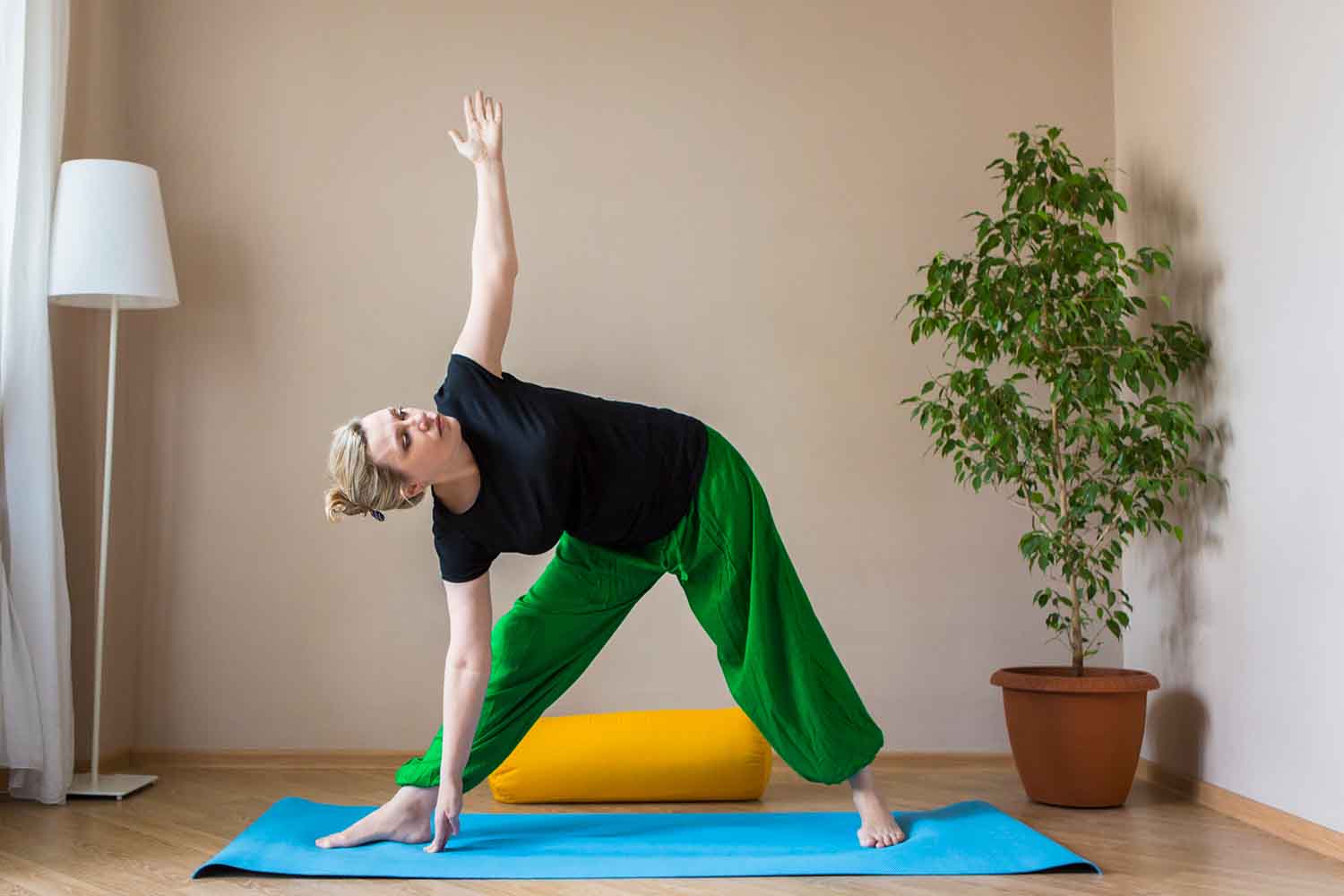 extended triangle pose in yoga woman doing extended triangle yoga pose