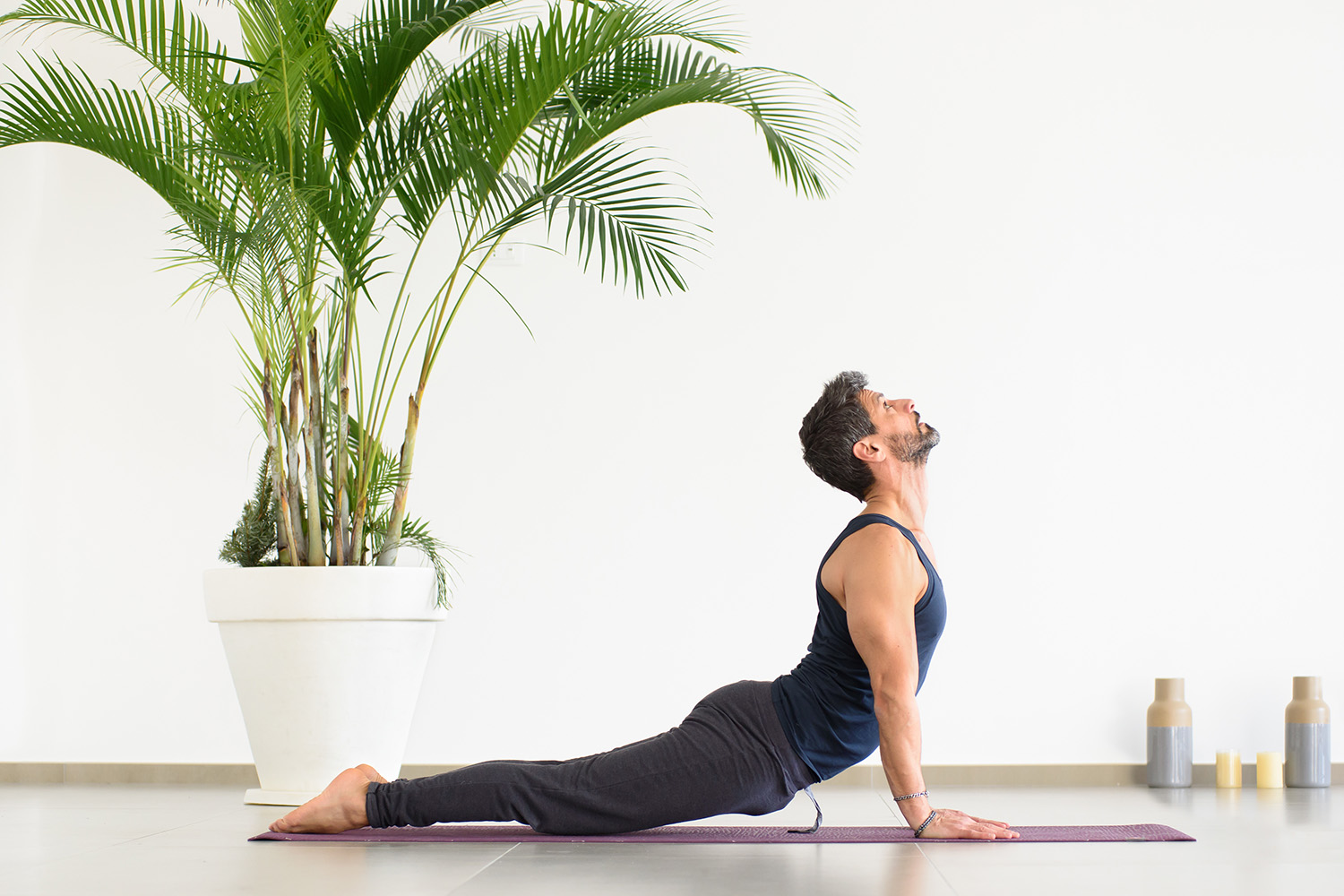 upward facing dog in yoga upward facing dog yoga pose